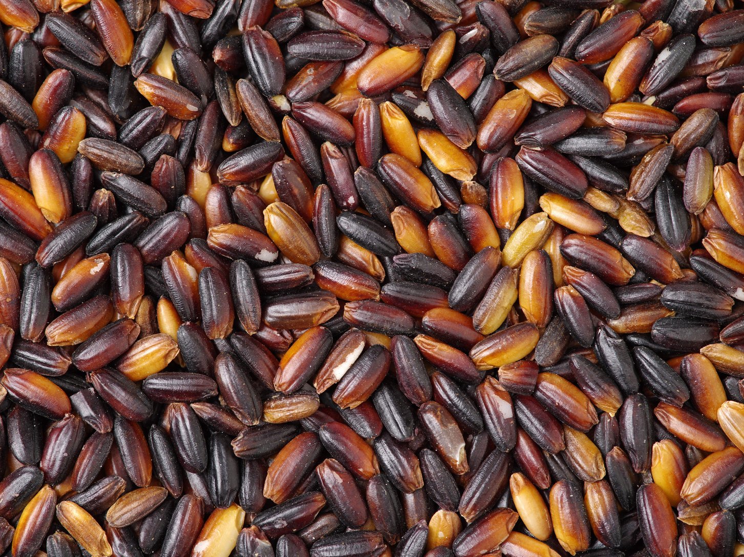 Black glutinous rice (black sticky rice,black rice)