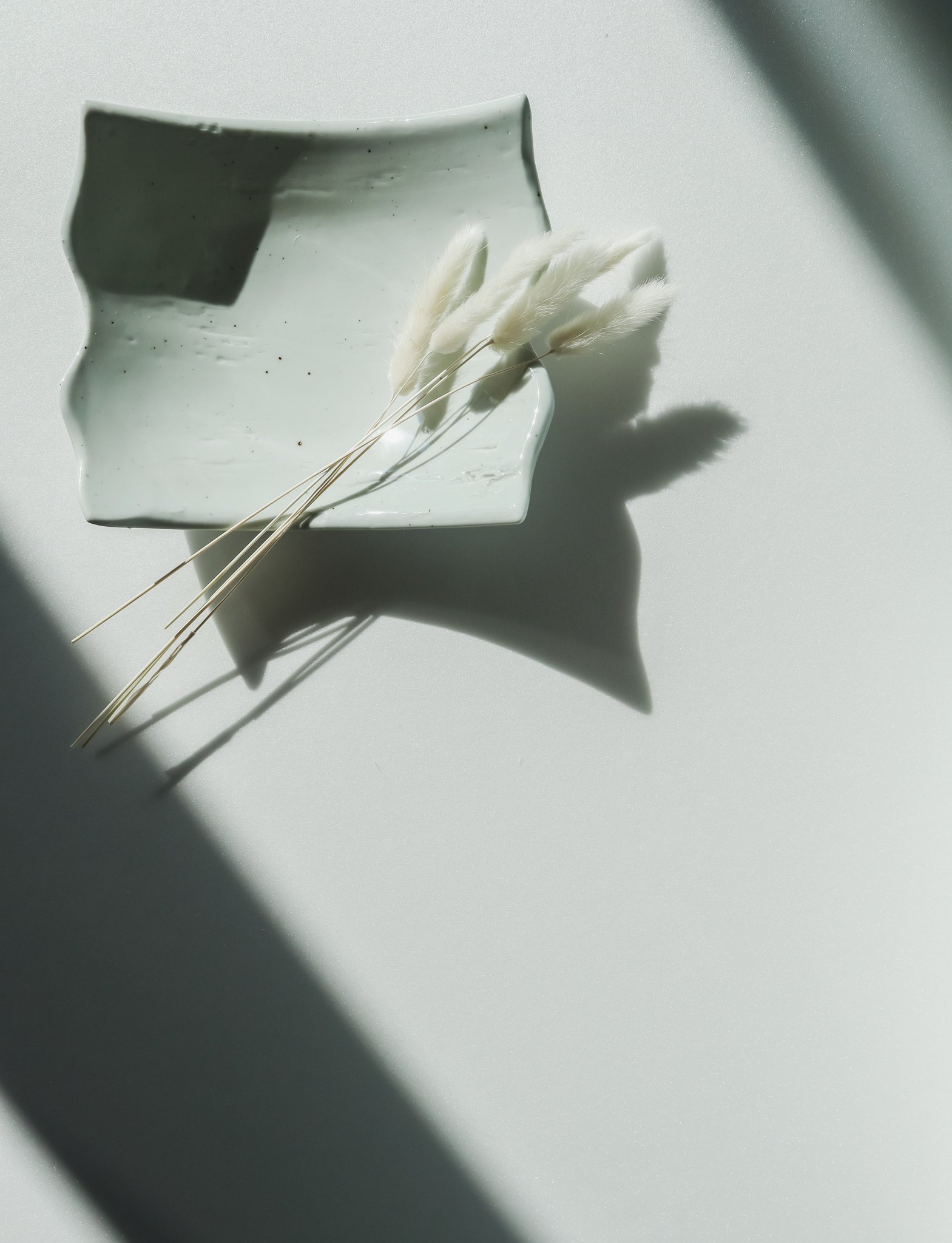 White Lagurus on White Background with Shadows